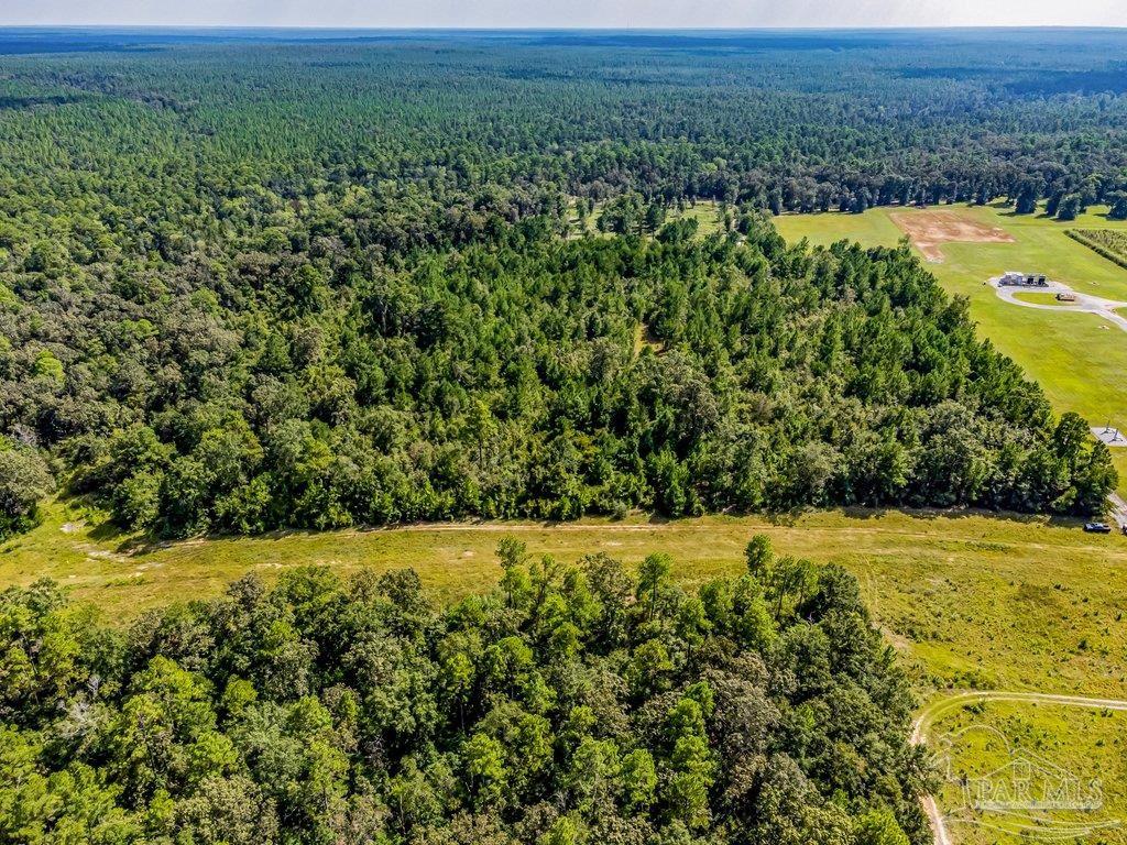 0 Munson Highway Milton, FL 32570 - Photo 4 of 18