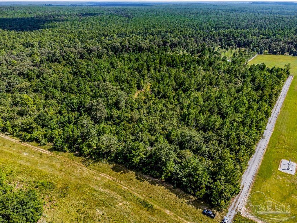 0 Munson Highway Milton, FL 32570 - Photo 7 of 18