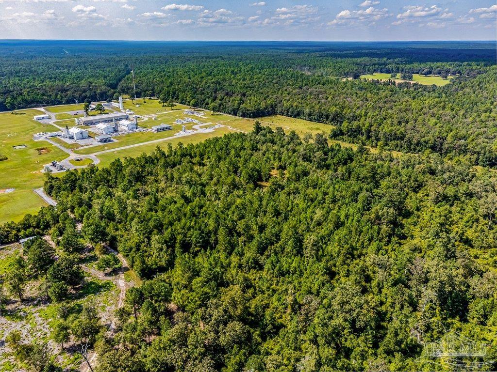 0 Munson Highway Milton, FL 32570 - Photo 9 of 18