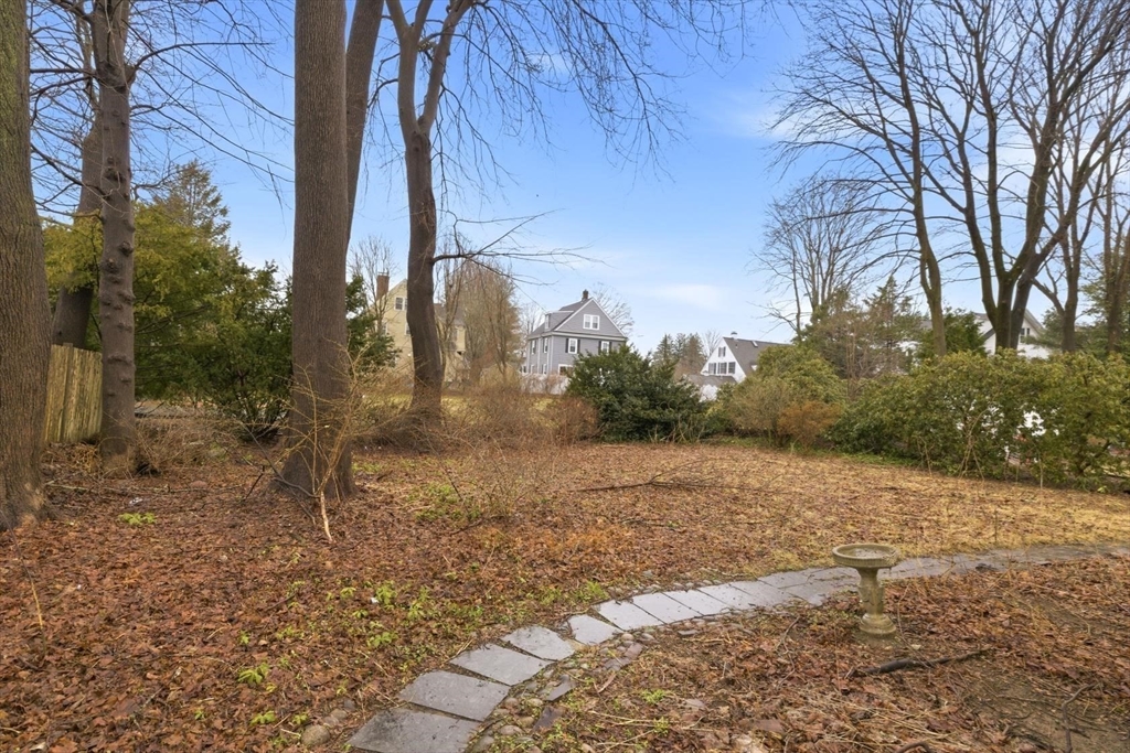 11 Clark Avenue Walpole, MA 02081 - Photo 4 of 25 a view of a yard with plants and trees