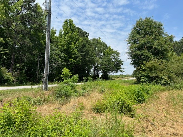5569 Trail Road Iva, SC 29655 - Photo 5 of 10