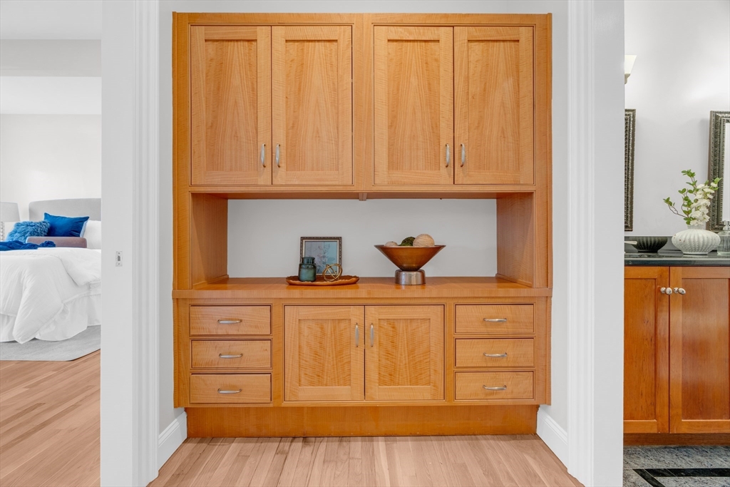 69 Rutland Street, Unit 3 Boston, MA 02118 - Photo 32 of 39 a close view of closet