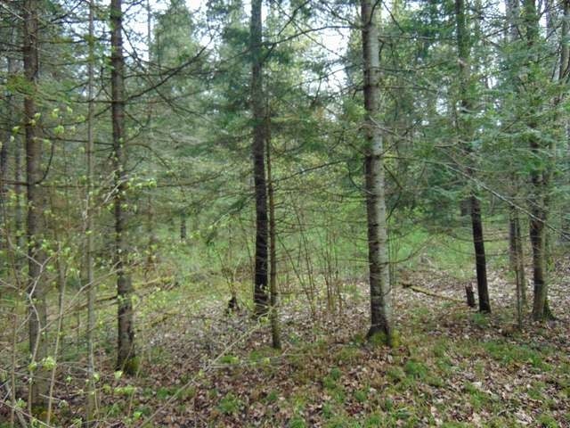 9-cs136 Rustic Road, Unit LOT # 4 Presque Isle, WI 54557 - Photo 14 of 14 Gallery Image 14