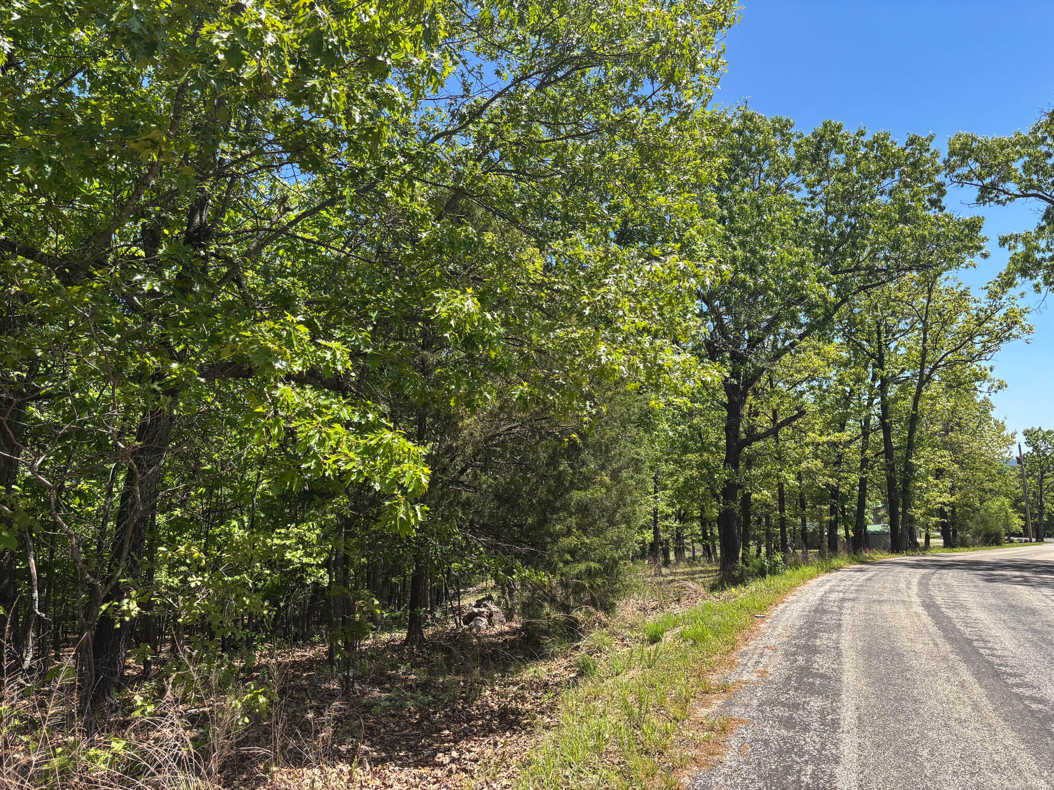 445 Pine Hollow Road Protem, MO 65733 - Photo 39 of 39 445 Pine Hollow Road Protem, Mo-56