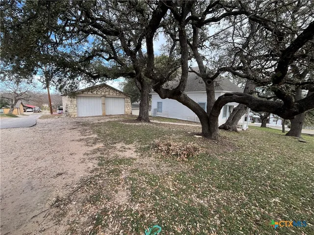 a view of a yard with a tree
