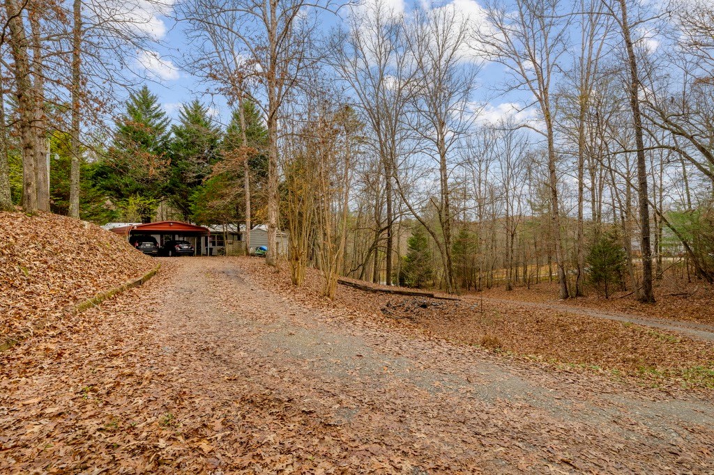 150 Curtis Switch Road Blue Ridge, GA 30513 - Photo 3 of 37 Gallery Image 3