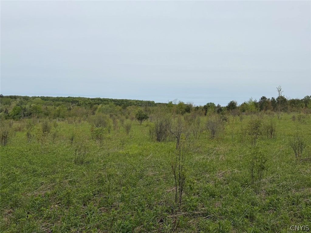 Reynolds Road Franklinville, NY 14737 - Photo 34 of 38