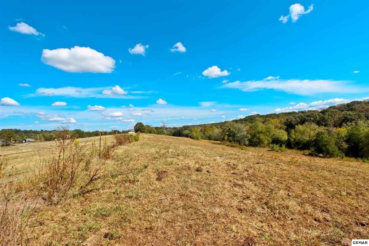 4 Timber Ridge Road Greeneville, TN 37743 - Photo 18 of 30 Gallery Image 18
