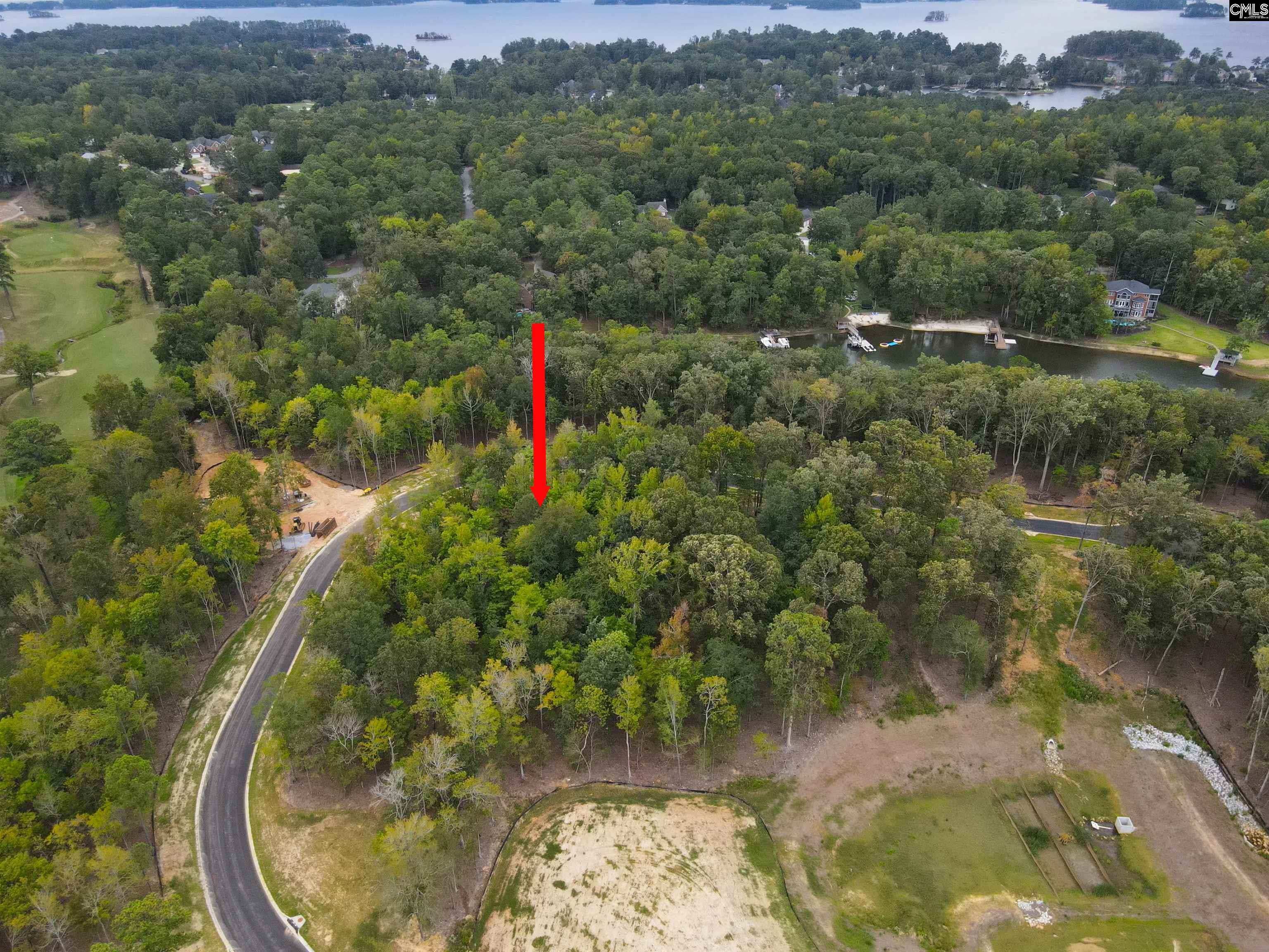 1064 Refuge Place Chapin, SC 29036 - Photo 12 of 20