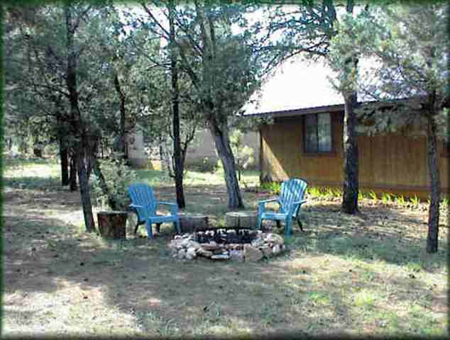 2948 Deer Trail Overgaard, AZ 85933 - Photo 3 of 9