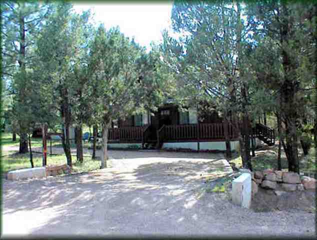 2948 Deer Trail Overgaard, AZ 85933 - Photo 5 of 9