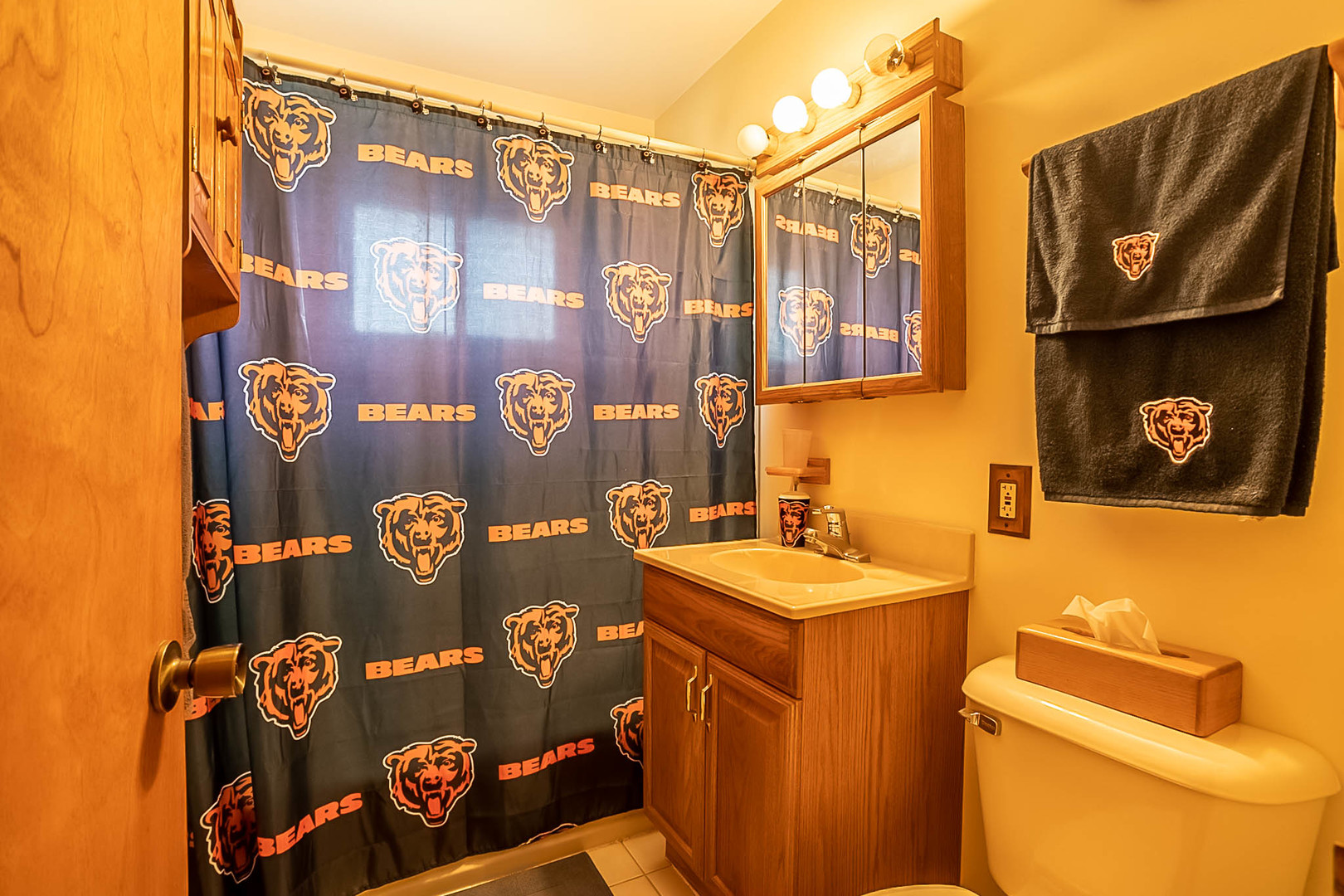 11007 Massasoit Avenue Chicago Ridge, IL 60415 - Photo 22 of 26 a bathroom with a sink and a toilet