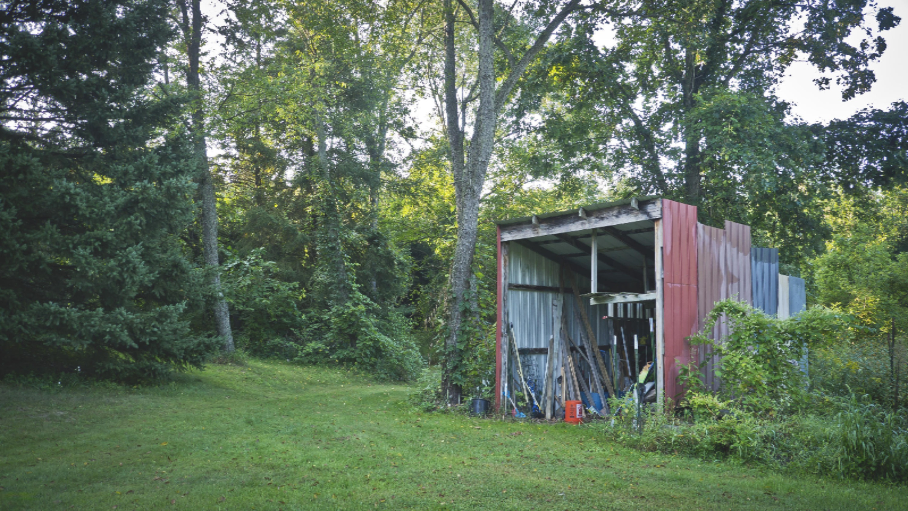 2843 Kiser Road Middleville, MI 49333 - Photo 46 of 49 shed