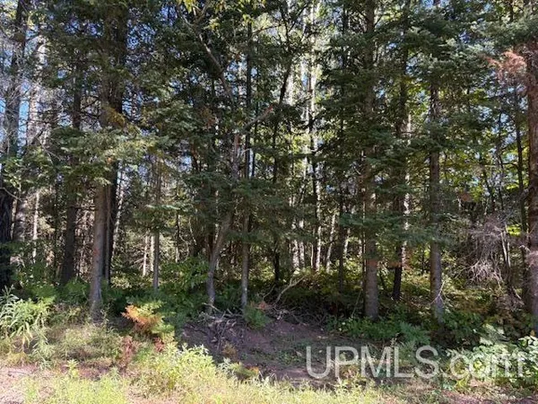 $16,000 | Tbd Normandy Avenue, Ironwood, MI 49938