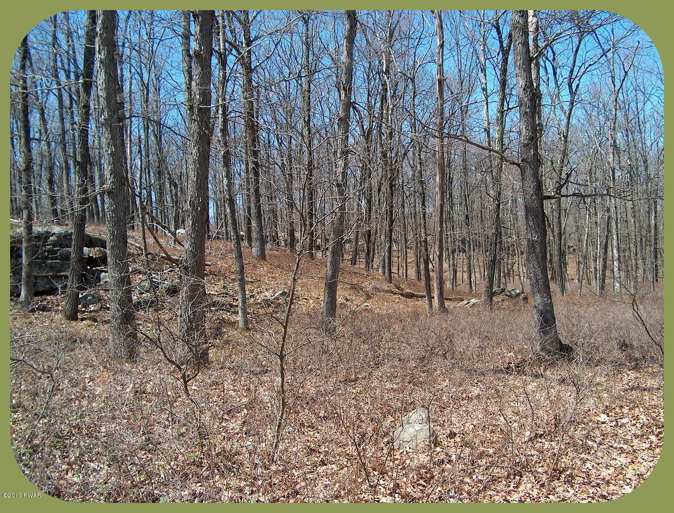 156 3 Legged Swamp Road Canadensis, PA 18325 - Photo 48 of 72