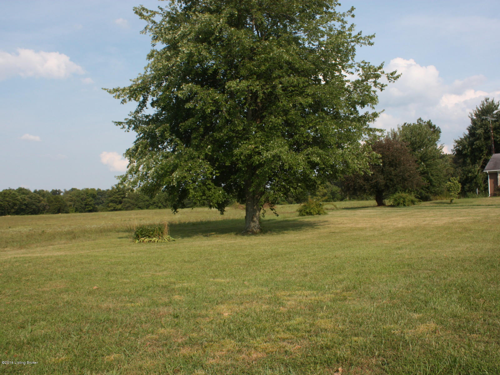 2986 Summit Road Big Clifty, KY 42712 - Photo 54 of 61 132100 Fulkerson Auction