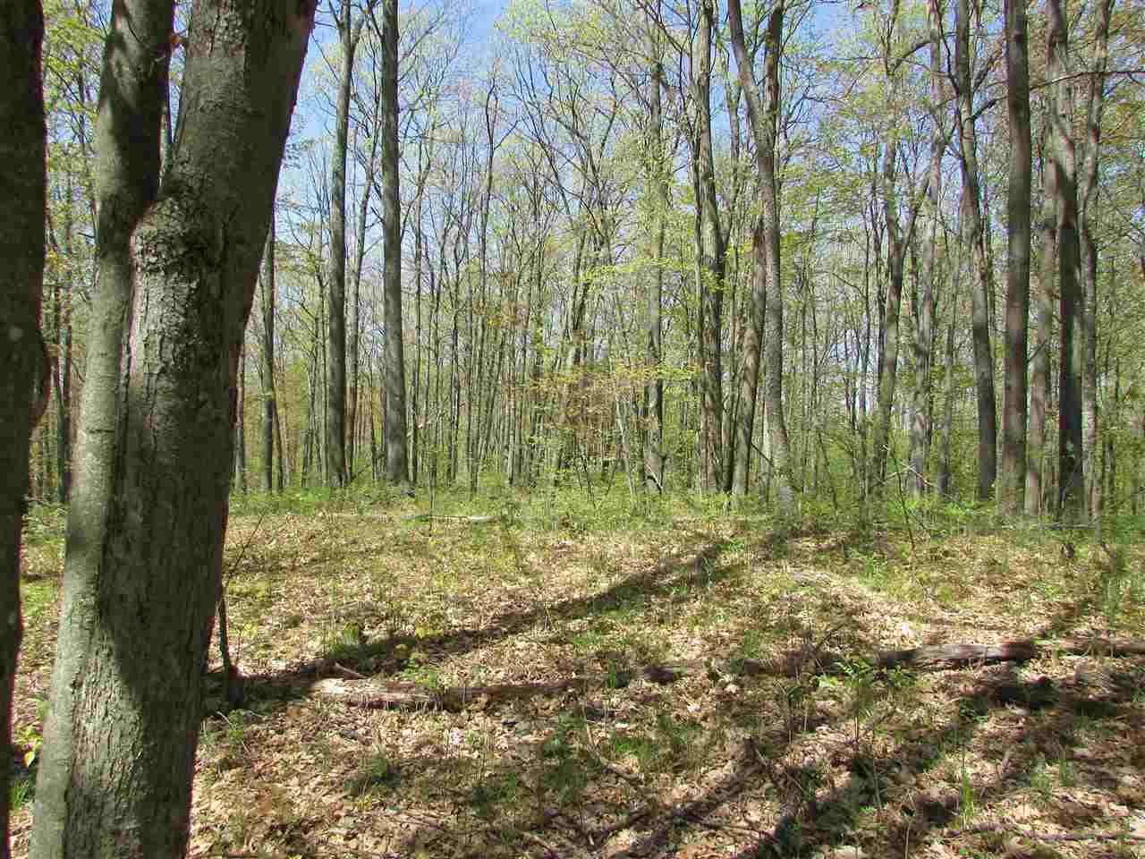 2 East Townline Lake Road Harrison, MI 48625 - Photo 13 of 13