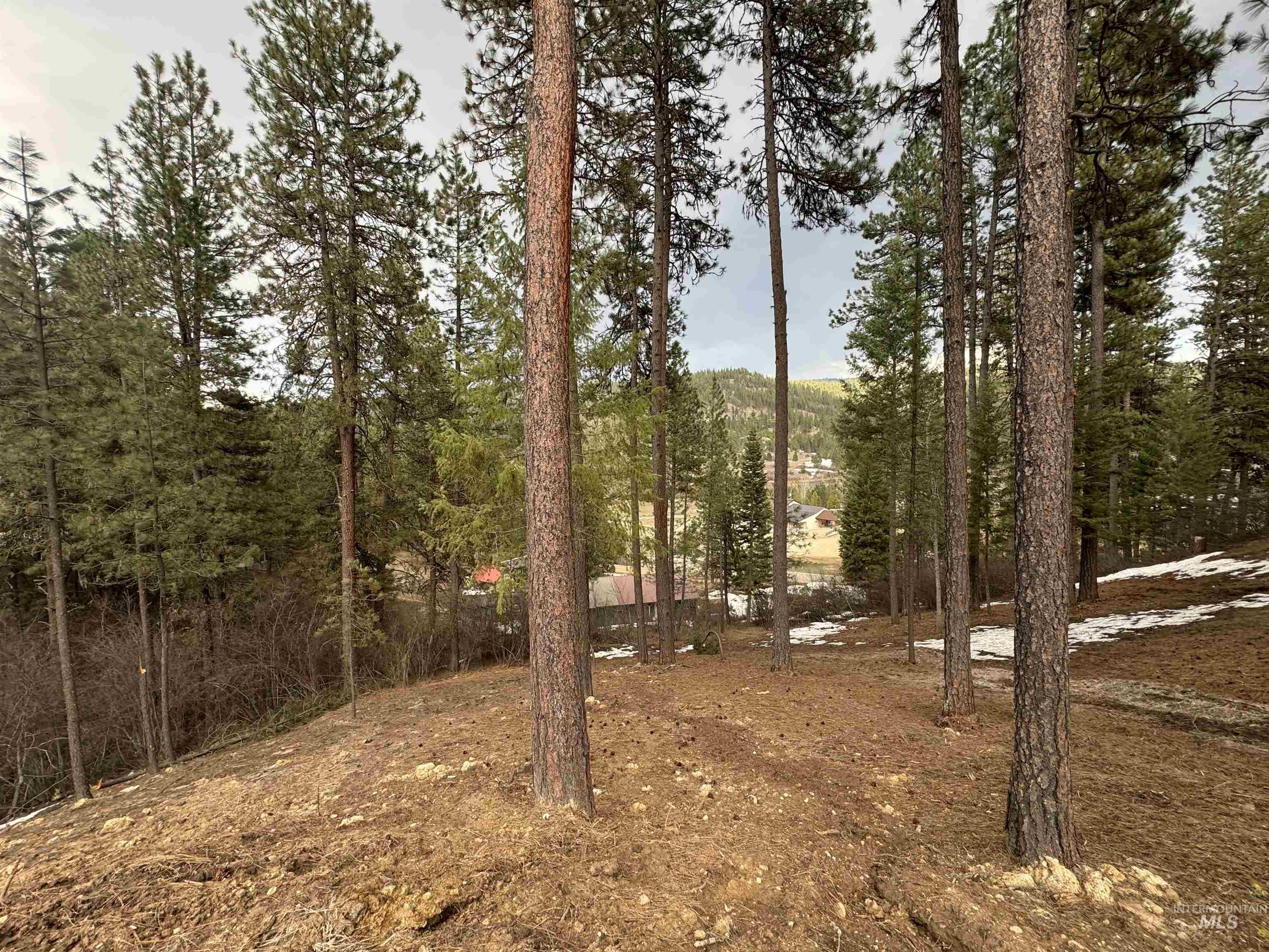 2 Valley High Road Garden Valley, ID 83622 - Photo 12 of 22 View of local wilderness