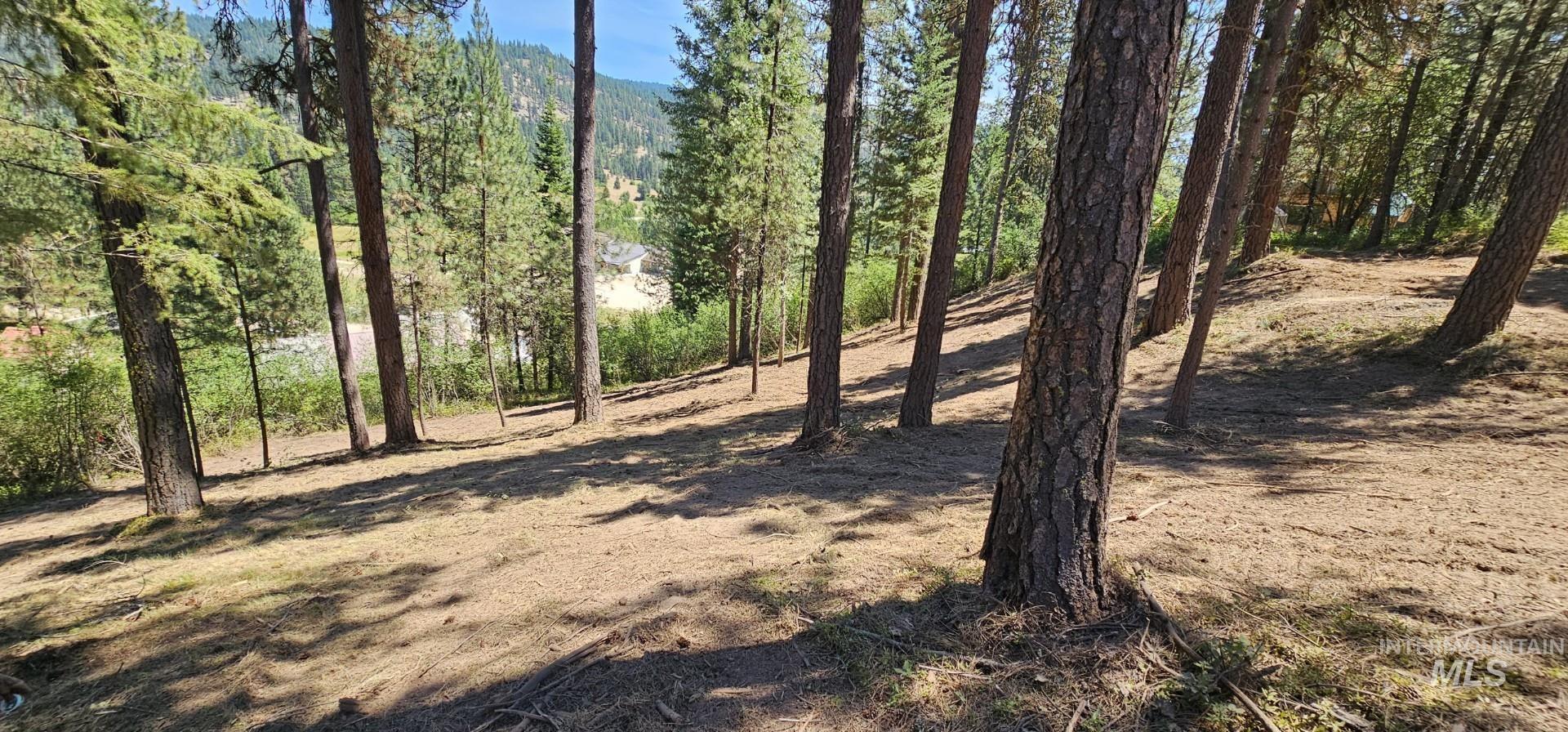 2 Valley High Road Garden Valley, ID 83622 - Photo 13 of 22 View of yard featuring a wooded view