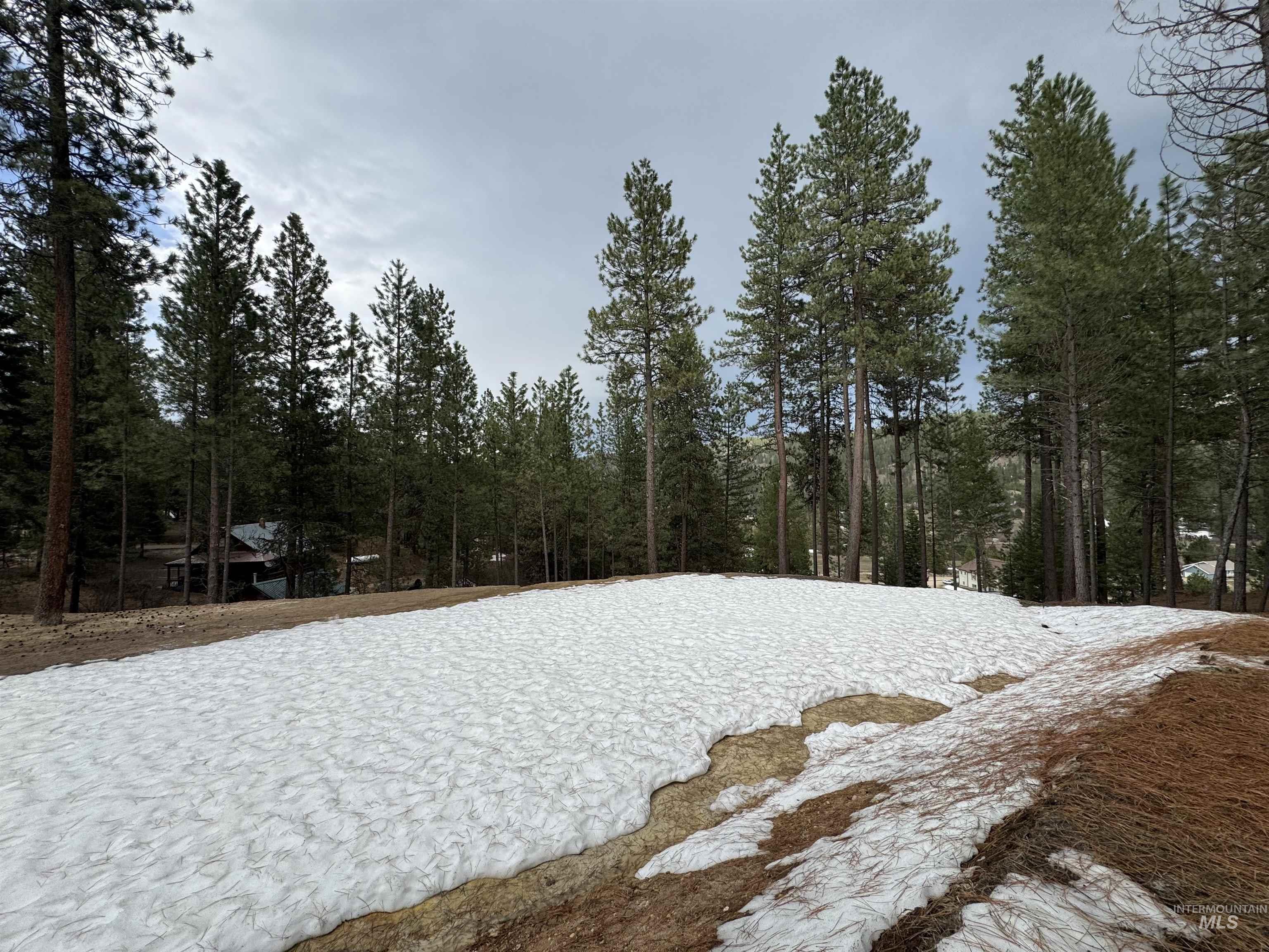 2 Valley High Road Garden Valley, ID 83622 - Photo 16 of 22 View of yard covered in snow