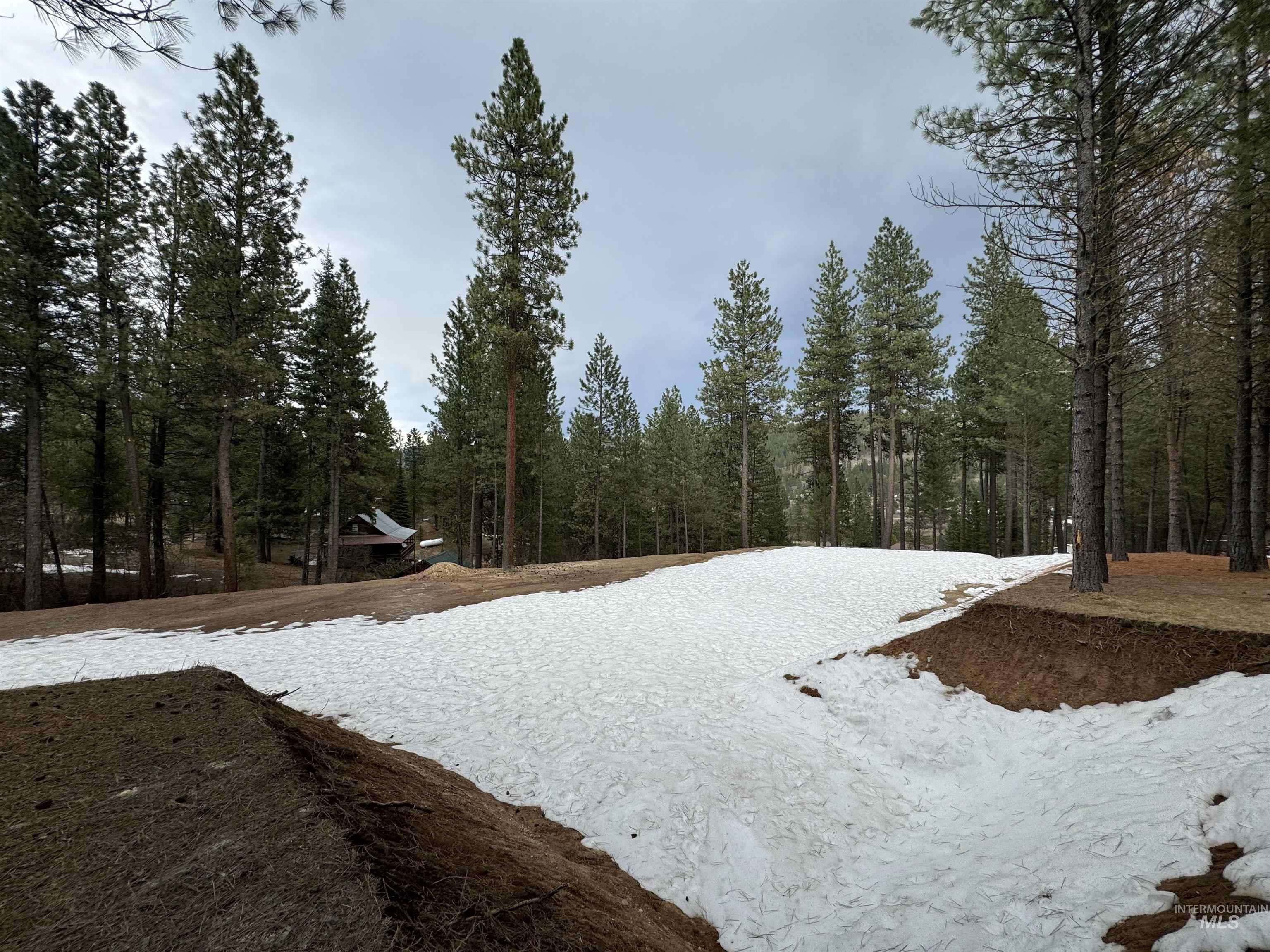 2 Valley High Road Garden Valley, ID 83622 - Photo 17 of 22 Snowy yard with a wooded view