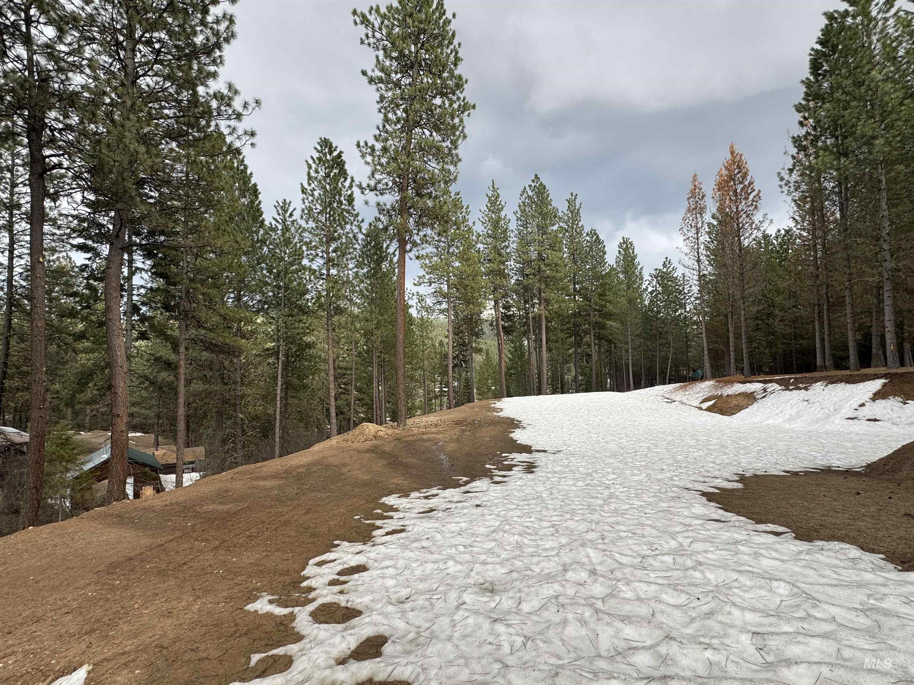 2 Valley High Road Garden Valley, ID 83622 - Photo 21 of 22 View of yard with a view of trees