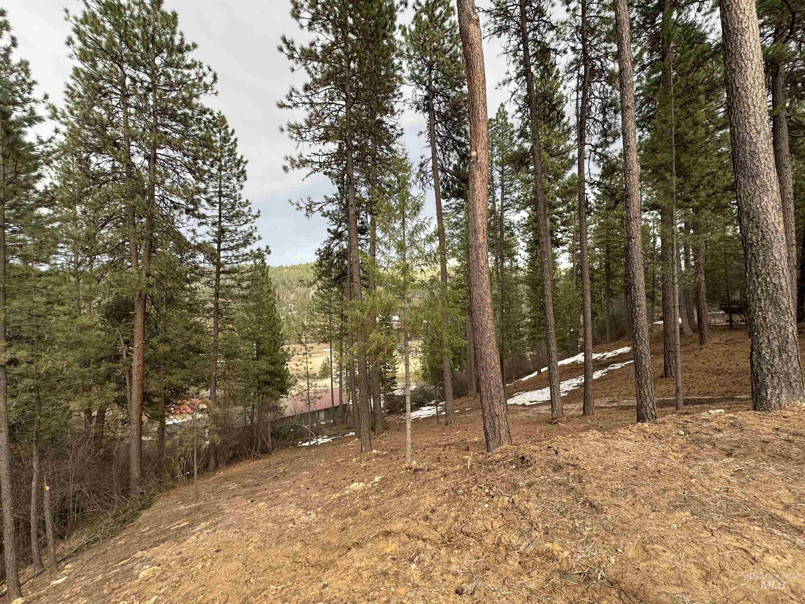 2 Valley High Road Garden Valley, ID 83622 - Photo 2 of 22 View of yard