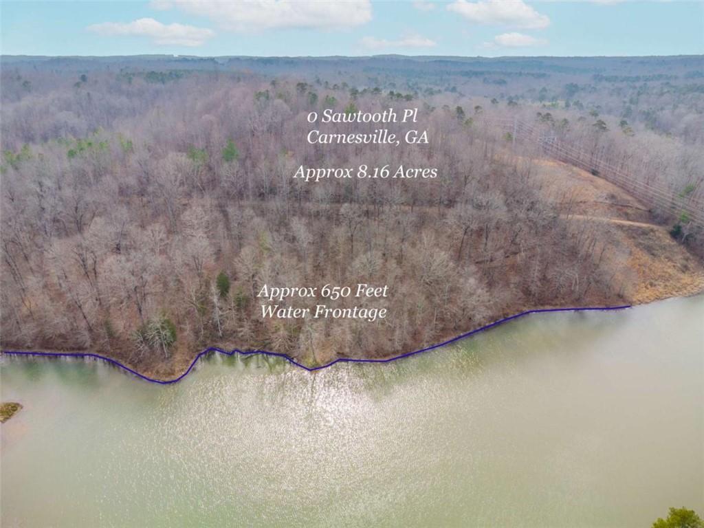 0 Sawtooth Place Carnesville, GA 30521 - Photo 12 of 14