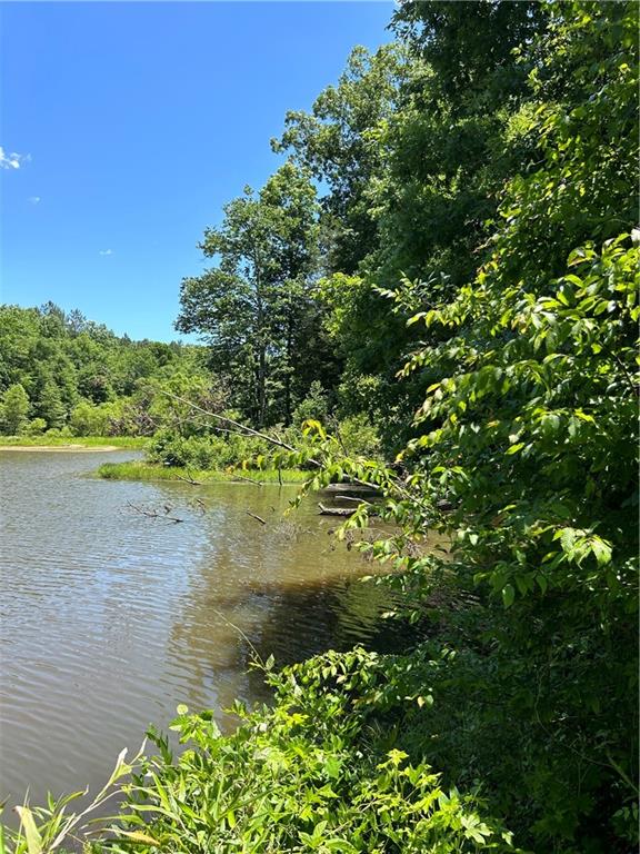 0 Sawtooth Place Carnesville, GA 30521 - Photo 16 of 20 a view of a lake view