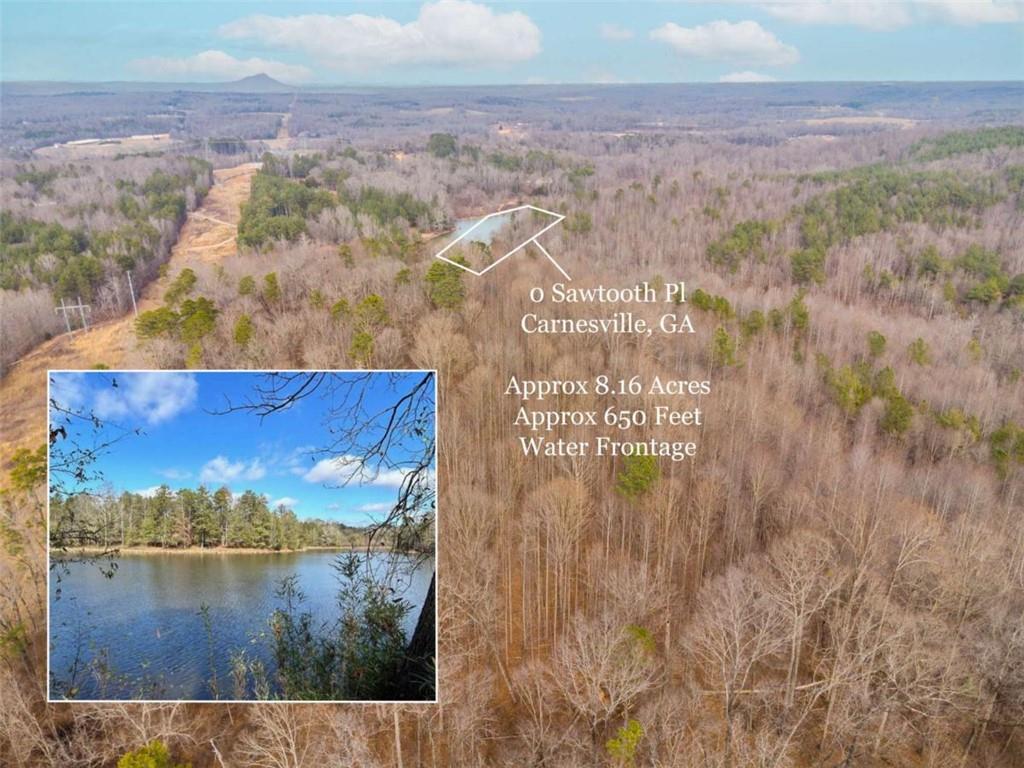 0 Sawtooth Place Carnesville, GA 30521 - Photo 5 of 20 a view of lake