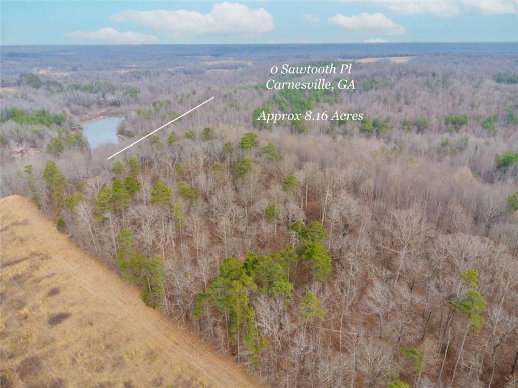 0 Sawtooth Place Carnesville, GA 30521 - Photo 8 of 20 a view of a dry yard with wooden fence