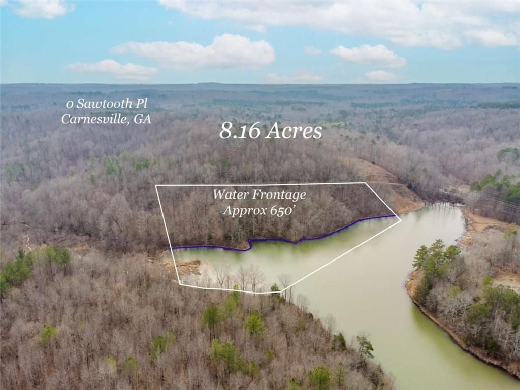 0 Sawtooth Place Carnesville, GA 30521 - Photo 8 of 14