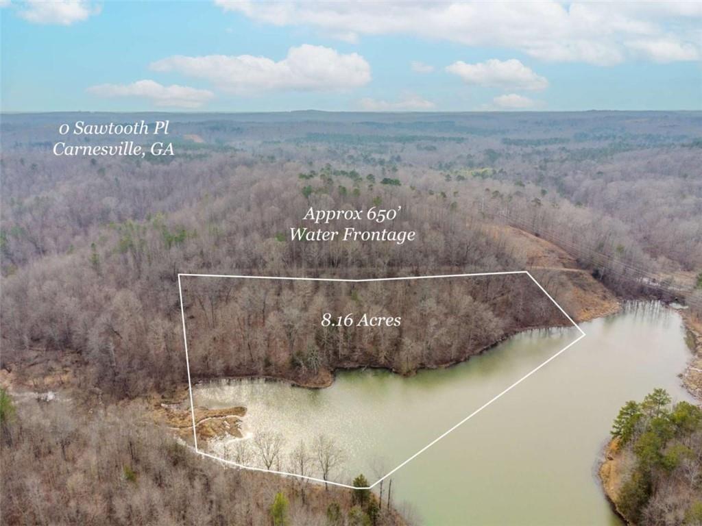 0 Sawtooth Place Carnesville, GA 30521 - Photo 9 of 14