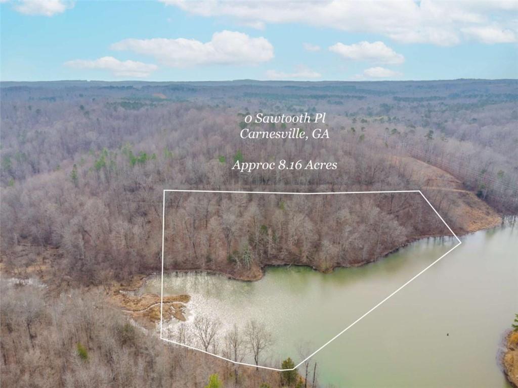 0 Sawtooth Place Carnesville, GA 30521 - Photo 10 of 14