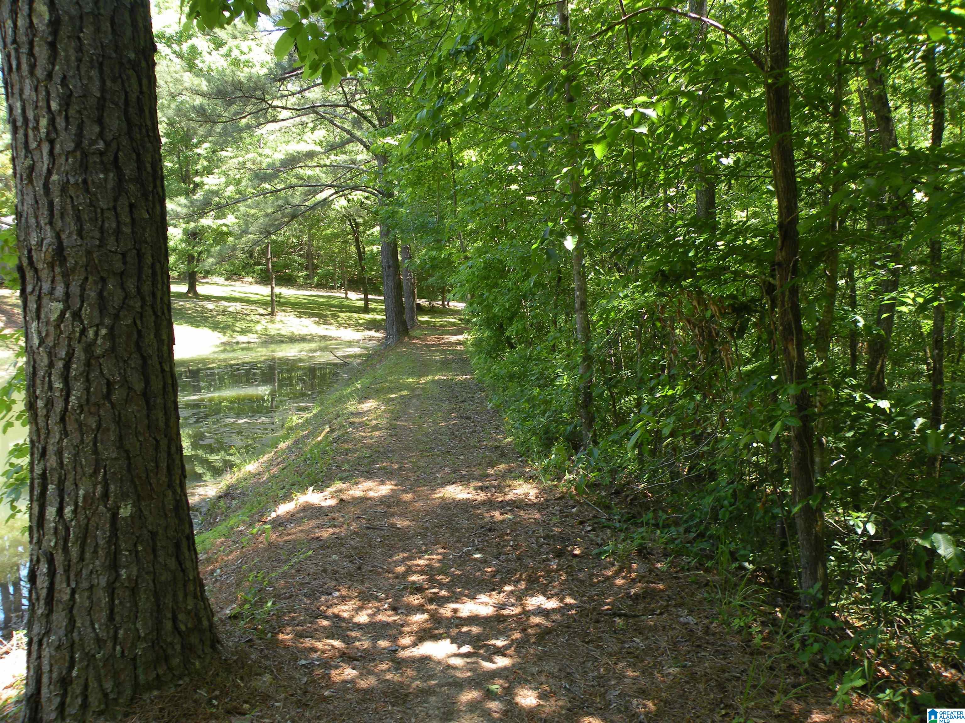 2961 Holmans Cross Road Goodwater, AL 35072 - Photo 23 of 27