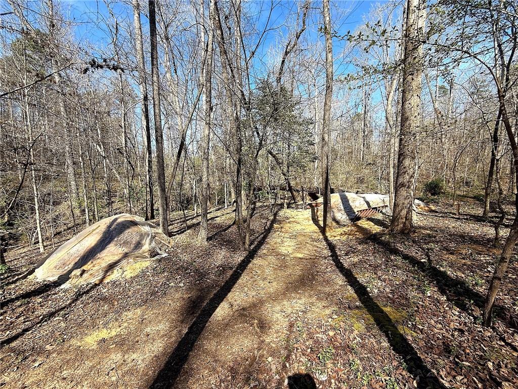 1125 Pecks Road Dahlonega, GA 30533 - Photo 12 of 35
