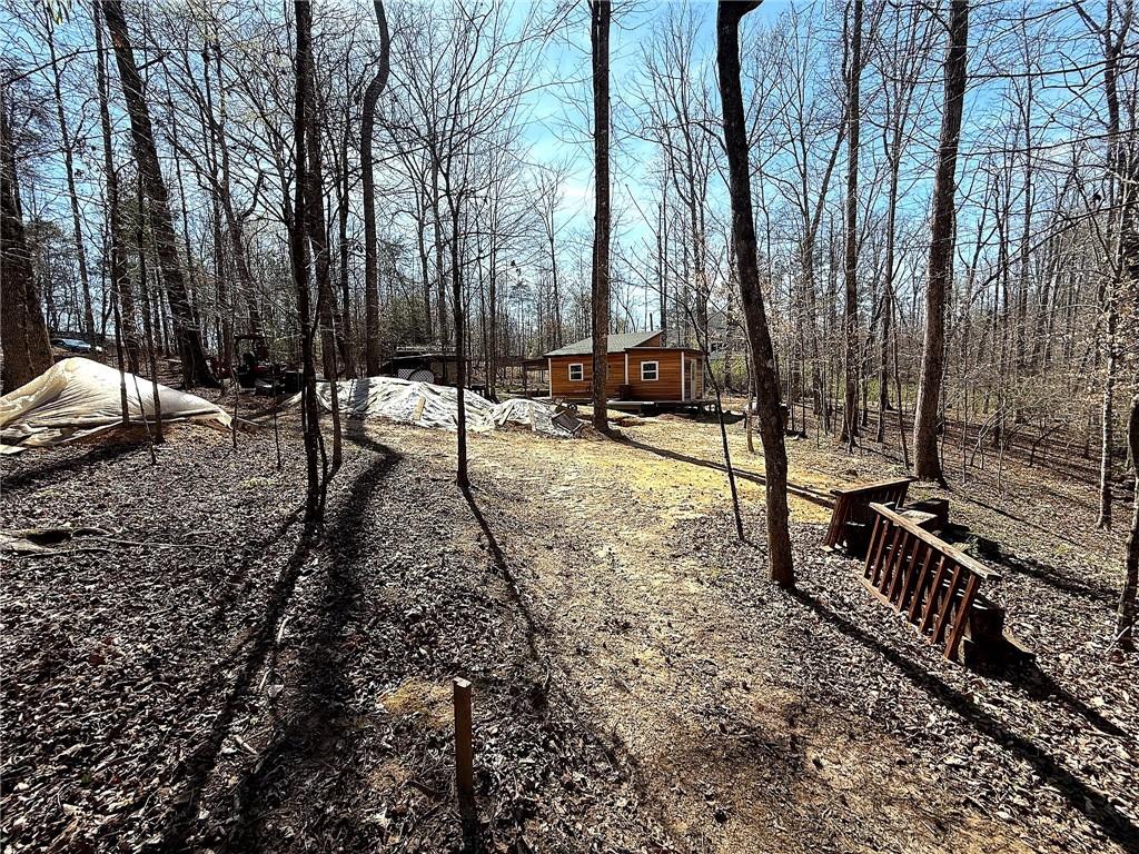 1125 Pecks Road Dahlonega, GA 30533 - Photo 13 of 35 a view of a backyard with a tree