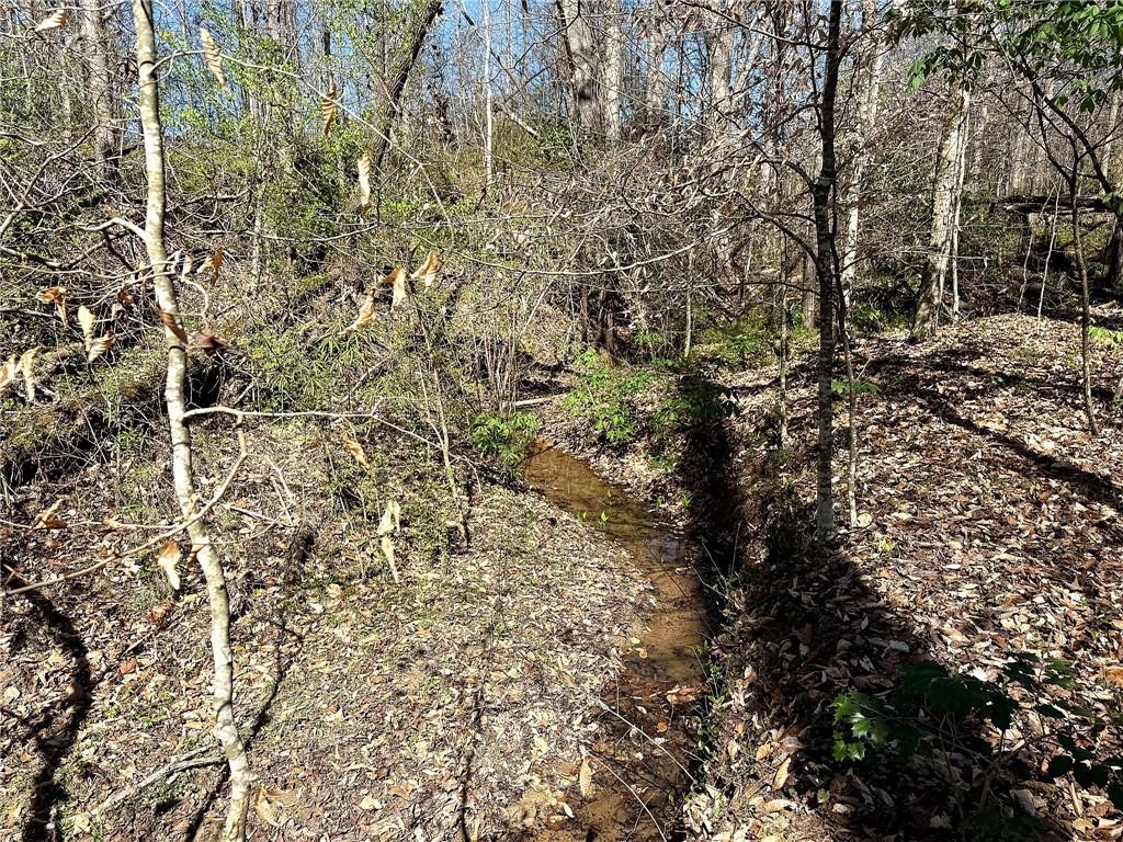 1125 Pecks Road Dahlonega, GA 30533 - Photo 16 of 35 a view of a yard with a tree
