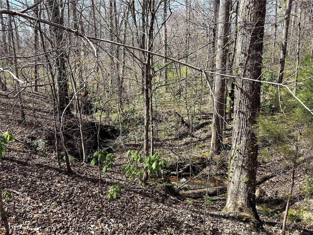 1125 Pecks Road Dahlonega, GA 30533 - Photo 17 of 35 a view of a yard