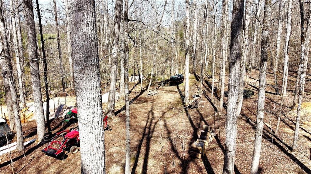 1125 Pecks Road Dahlonega, GA 30533 - Photo 3 of 35