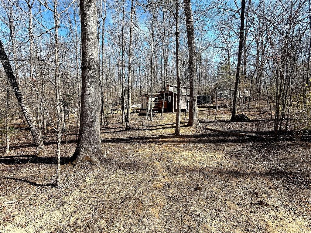1125 Pecks Road Dahlonega, GA 30533 - Photo 31 of 35 a backyard of a house with lots of green space