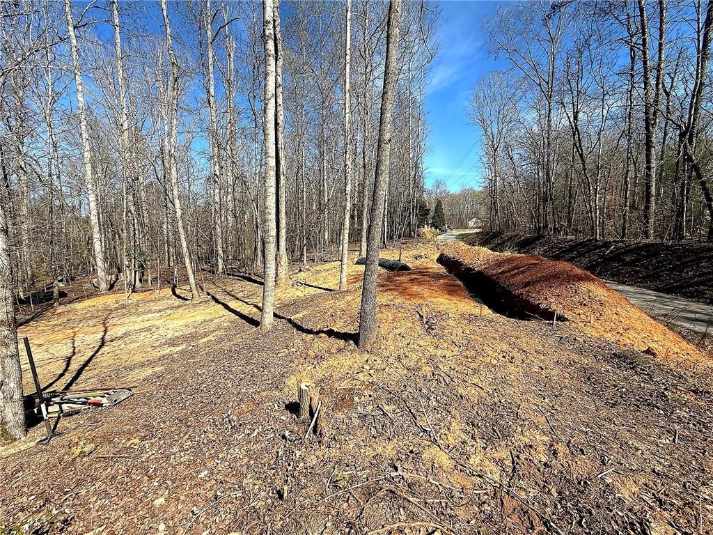 1125 Pecks Road Dahlonega, GA 30533 - Photo 35 of 35 a backyard of a house with table and chairs