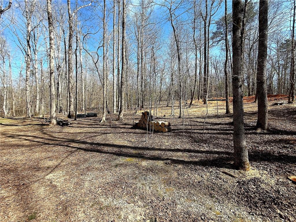 1125 Pecks Road Dahlonega, GA 30533 - Photo 10 of 35 a view of park with large trees