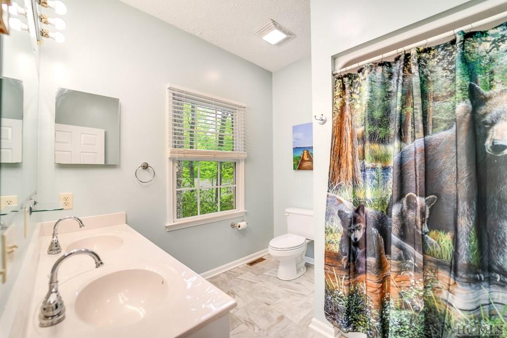 391 Tower Road Sapphire, NC 28774 - Photo 10 of 40 Gallery Image 10