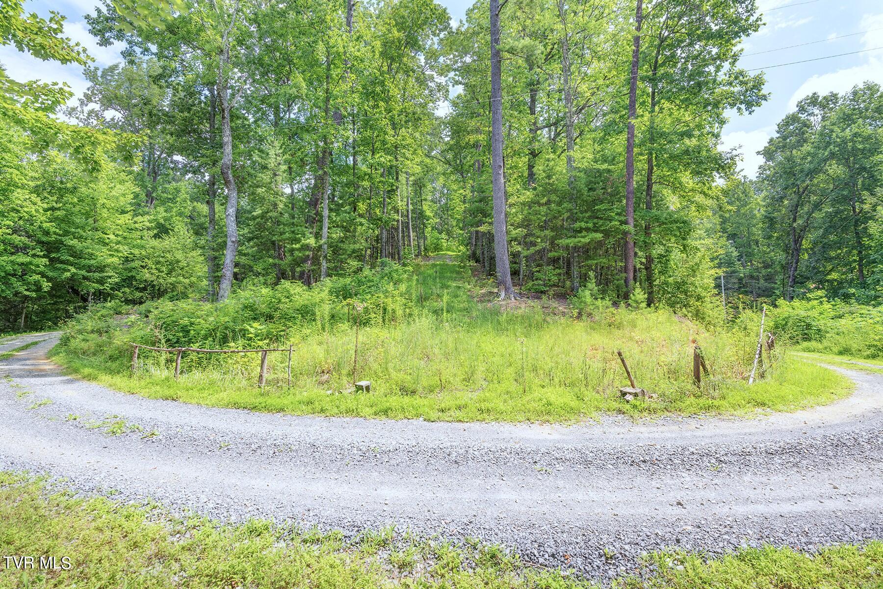 115 Jenny Way Cosby, TN 37722 - Photo 33 of 35 34_115JennyWayCosby_Land1_WEB