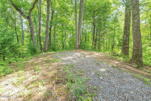 $365,000 | 115 Jenny Way, Cosby, TN 37722