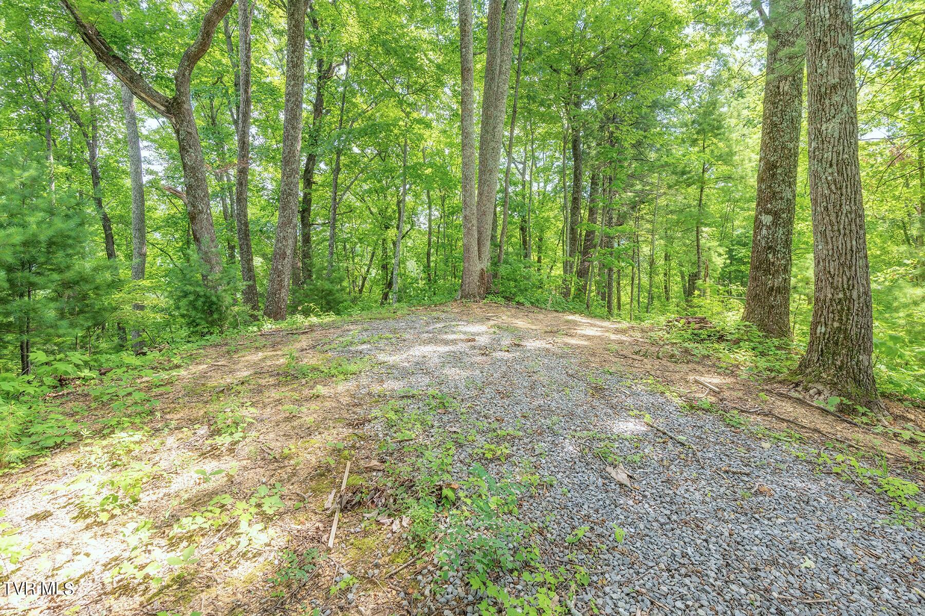 115 Jenny Way Cosby, TN 37722 - Photo 34 of 35 35_115JennyWayCosby_Land2_WEB