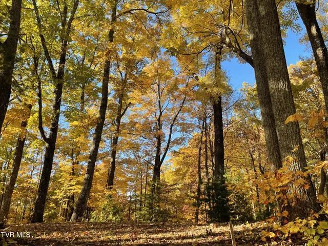 $365,000 | 115 Jenny Way, Cosby, TN 37722