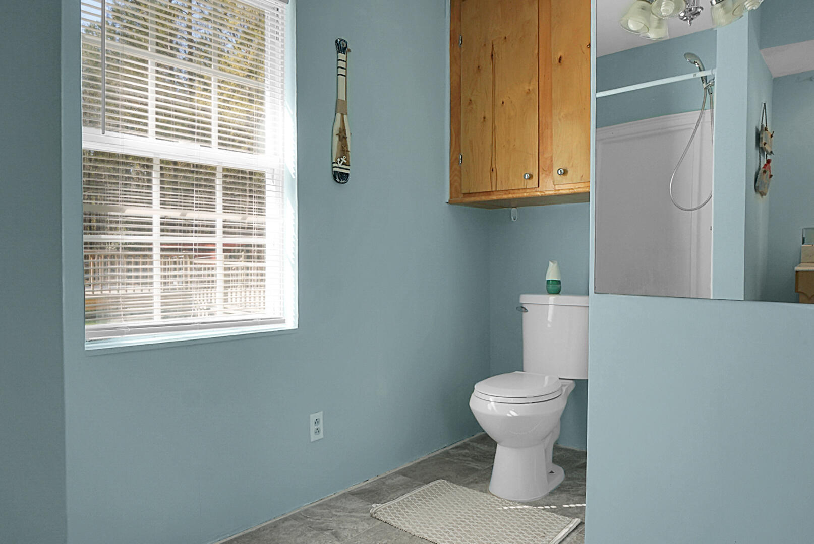 274 Rae Lane Bonneau, SC 29431 - Photo 105 of 105 DSC05403