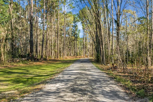 $554,000 | 274 Rae Lane, Bonneau, SC 29431